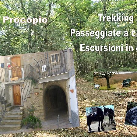 Affitta Camere San Procopio Troina 外观 照片